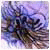 sera232guiLet