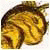 zeiprovacLet